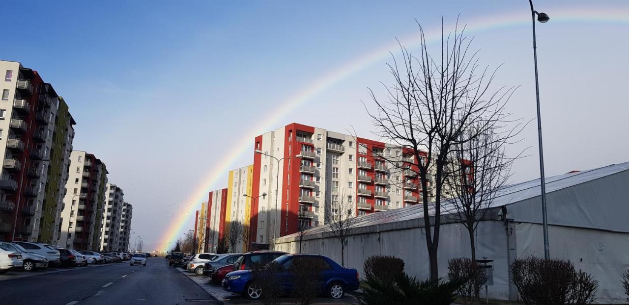 Apartamento T&M Braşov Exterior foto